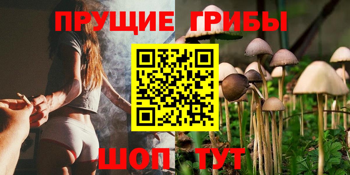 Галлюциногенные грибы Psilocybe Абакан